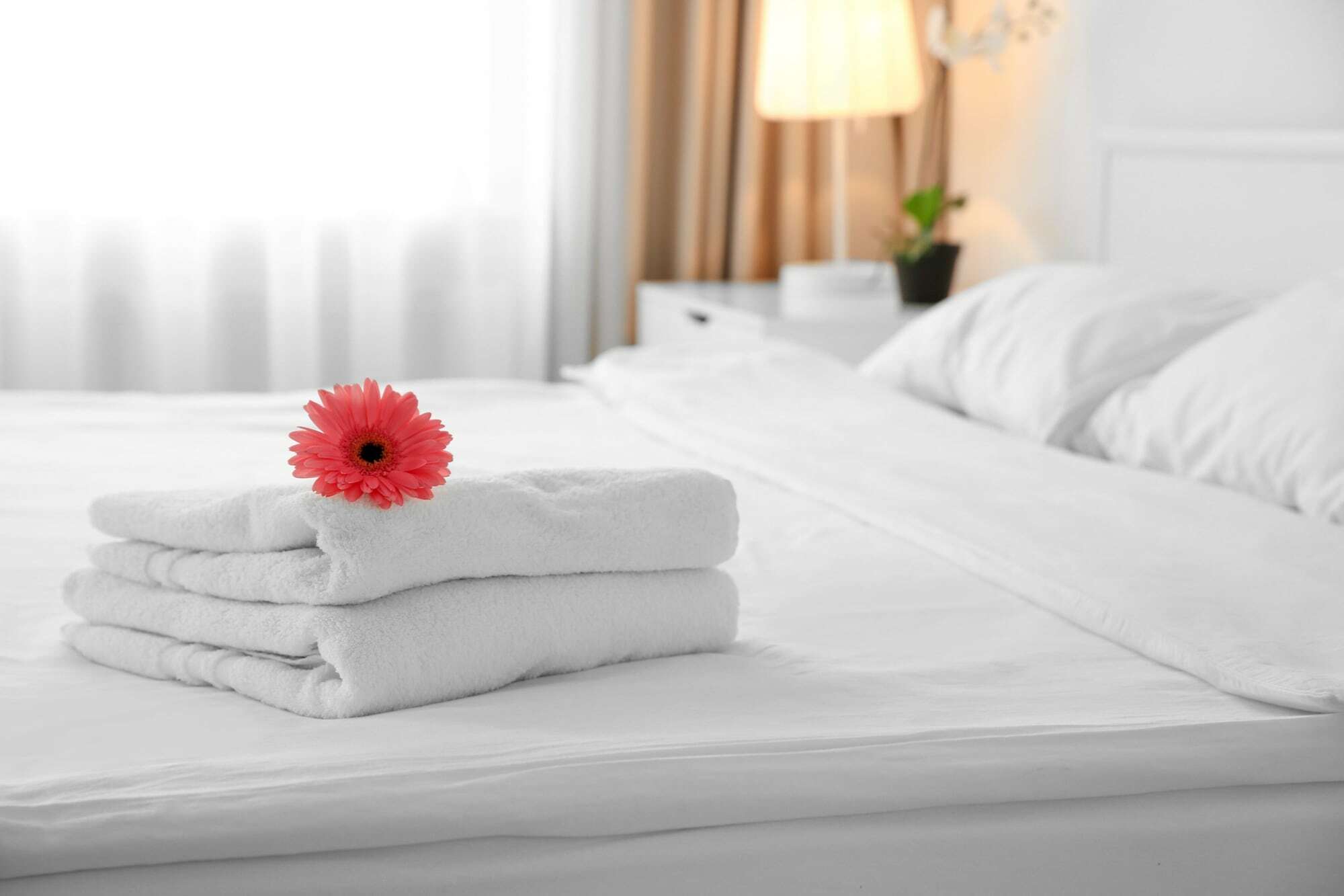 Signature Suites Peterborough Buitenkant foto